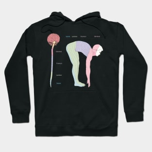 Anatomy of the spine Hoodie